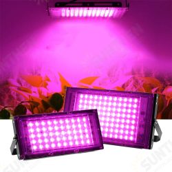 220V LED Grow Light Phytolamp Plants Full Spectrum LED Floodlight Flowers Seedlings Plant Growing Phyto Lamp 220V LED Grow Light Phytolamp Plants Full Spectrum LED Floodlight Flowers Seedlings Plant Growing Phyto Lamp