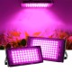 220V LED Grow Light Phytolamp Plants Full Spectrum LED Floodlight Flowers Seedlings Plant Growing Phyto Lamp