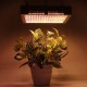 240 LEDs Plant Grow Light Veg Bloom Lamp Indoor Greenhouse Garden Full Spectrum Plant Growth Light