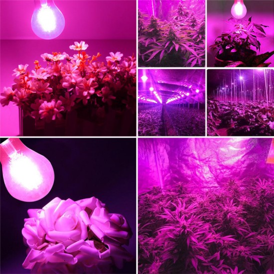 2W E27 B22 A60 LED Plant Grow Light Bulb for Hydroponics Greenhouse Non-Dimmable AC85-265V