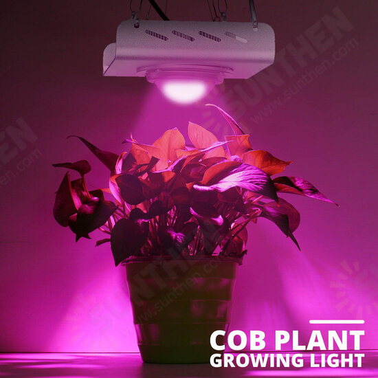 3000W 2600LM 144LED COB Grow Light Full Spectrum Lamp Plant Hydroponics Flower A