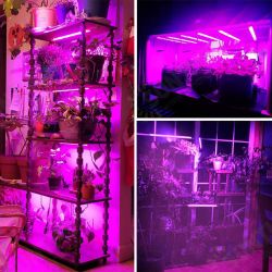 30/50cm LED Grow light Full Spectrum Indoor Plant lamp Tube Bulb Bar light For Plant Flower Vegetable Growing Succulents Indoor Greenhouse Hydroponics 30/50cm LED Grow light Full Spectrum Indoor Plant lamp Tube Bulb Bar light For Plant Flower Vegetable Growing Succulents Indoor Greenhouse Hydroponics