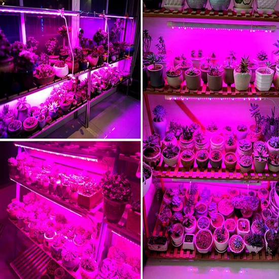 30/50cm LED Grow light Full Spectrum Indoor Plant lamp Tube Bulb Bar light For Plant Flower Vegetable Growing Succulents Indoor Greenhouse Hydroponics