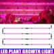 30/50cm LED Grow light Full Spectrum Indoor Plant lamp Tube Bulb Bar light For Plant Flower Vegetable Growing Succulents Indoor Greenhouse Hydroponics