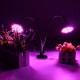 30W Flexible Clip-on Hydroponics Plant LED Dual Grow Light Full Spectrum Flower Lamp