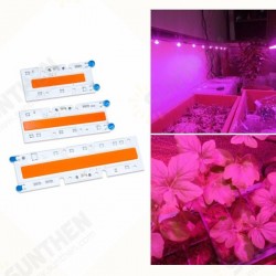 30W/50W/70W High Power Full Spectrum LED Grow COB Light Chip for Plants Vegetable AC110V/AC220V 30W/50W/70W High Power Full Spectrum LED Grow COB Light Chip for Plants Vegetable AC110V/AC220V