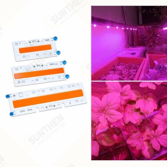 30W/50W/70W High Power Full Spectrum LED Grow COB Light Chip for Plants Vegetable AC110V/AC220V