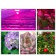 30W/50W/70W High Power Full Spectrum LED Grow COB Light Chip for Plants Vegetable AC110V/AC220V