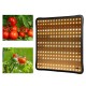 30cmx30cm Spectrum 256LED Grow Light Growing Lamp For Hydroponics Flower