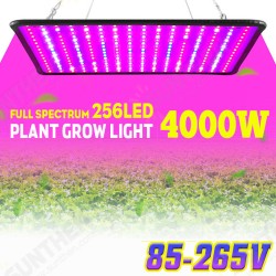 5000W LED Full Spectrum Plant UV Grow Light Veg Growing Lamp Indoor Hydroponic 5000W LED Full Spectrum Plant UV Grow Light Veg Growing Lamp Indoor Hydroponic