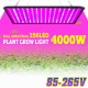 5000W LED Full Spectrum Plant UV Grow Light Veg Growing Lamp Indoor Hydroponic