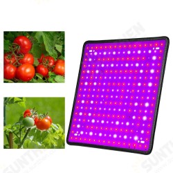 5000W LED Full Spectrum Plant UV Grow Light Veg Growing Lamp Indoor Hydroponic 5000W LED Full Spectrum Plant UV Grow Light Veg Growing Lamp Indoor Hydroponic