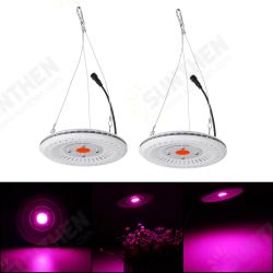 50W COB LED Round Full Spectrum Light Waterproof IP64 Flood Light Plant Flower Indoor Hydroponic Greenhouse Grow Light 50W COB LED Round Full Spectrum Light Waterproof IP64 Flood Light Plant Flower Indoor Hydroponic Greenhouse Grow Light