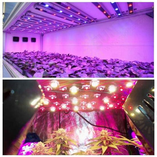 50pcs 3W 380nm-840nm Full Spectrum LED Plant Grow Light Chip for Garden 3.0-3.4V