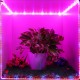 5M SMD5050 Waterproof Full Spectrum LED Plant Grow Strip Light for Greenhouse Aquarium DC12V