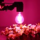 8W A60 E27 B22 COB Non-Dimmable LED Plant Grow Light Bulb for Hydroponics Greenhouse AC85-265V