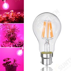 8W A60 E27 B22 COB Non-Dimmable LED Plant Grow Light Bulb for Hydroponics Greenhouse AC85-265V 8W A60 E27 B22 COB Non-Dimmable LED Plant Grow Light Bulb for Hydroponics Greenhouse AC85-265V