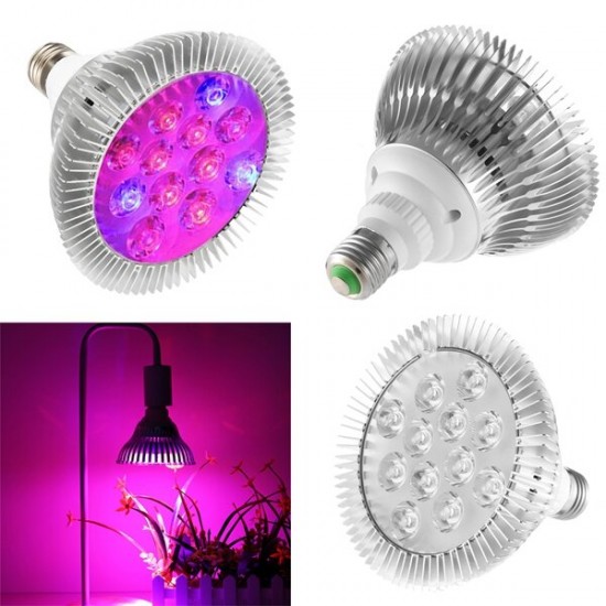 9W 12 LED E27 Red Blue Grow Lamp for Hydroponics Flowers Plants Vegetables