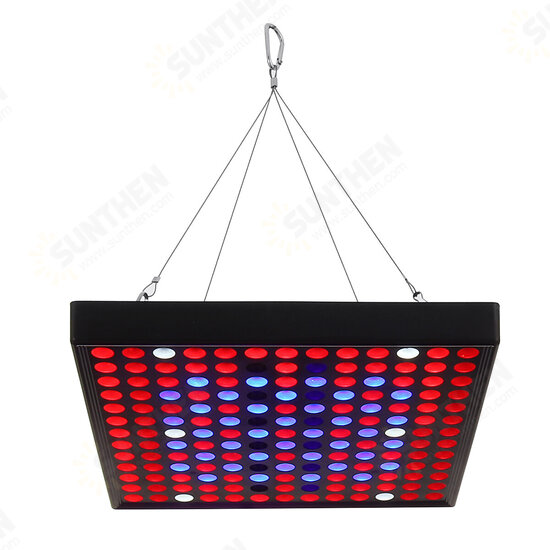 AC110-240V LED Grow Light Full Spectrum Plant Lamp For Indoor Hydroponic Veg Flowers