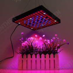 AC110-240V LED Grow Light Full Spectrum Plant Lamp For Indoor Hydroponic Veg Flowers AC110-240V LED Grow Light Full Spectrum Plant Lamp For Indoor Hydroponic Veg Flowers