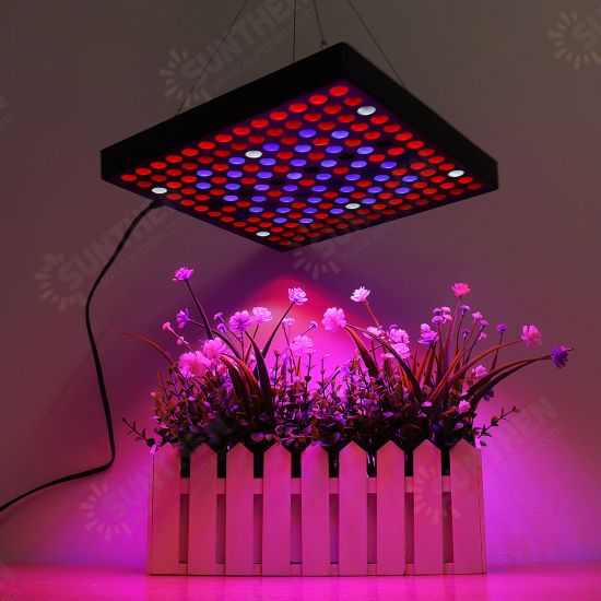 AC110-240V LED Grow Light Full Spectrum Plant Lamp For Indoor Hydroponic Veg Flowers