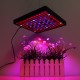 AC110-240V LED Grow Light Full Spectrum Plant Lamp For Indoor Hydroponic Veg Flowers