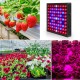 AC110-240V LED Grow Light Full Spectrum Plant Lamp For Indoor Hydroponic Veg Flowers