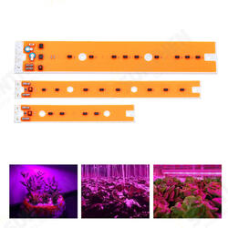 AC110V/220V 30W 50W 80W Full Spectum LED COB Chip Grow Light Source for Flood Iodine-tungsten Lamp AC110V/220V 30W 50W 80W Full Spectum LED COB Chip Grow Light Source for Flood Iodine-tungsten Lamp