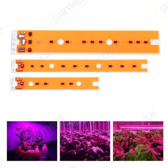 AC110V/220V 30W 50W 80W Full Spectum LED COB Chip Grow Light Source for Flood Iodine-tungsten Lamp