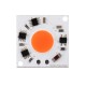 AC220-240V High Power 30W Full Spectrum COB LED Grow Light Chip for Floodlight