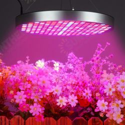 AC85-265V 35W UFO 250LED Grow Light Full Spectrum Growing Lamp for Indoor Plants Flower Seeding Hydroponic Greenhouse AC85-265V 35W UFO 250LED Grow Light Full Spectrum Growing Lamp for Indoor Plants Flower Seeding Hydroponic Greenhouse