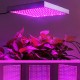 AC85-265V 60W 289 LED Grow Light Growing Lamp For Veg Flower Indoor Plant