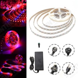 DC12V 5M Non-waterproof SMD5050 R:B 3:1 Grow LED Strip Light + 5A Power Adapter + Female Connector DC12V 5M Non-waterproof SMD5050 R:B 3:1 Grow LED Strip Light + 5A Power Adapter + Female Connector