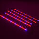 DC12V 5PCS 50CM Waterproof SMD5050 Red:Blue 5:1 36LED Strip Plant Garden Grow Light+5A Power Adapter