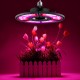E27 LED Grow Light Full Spectrum Hydroponic Lamp Bulb for Indoor Plant Flower Growing AC100-277V
