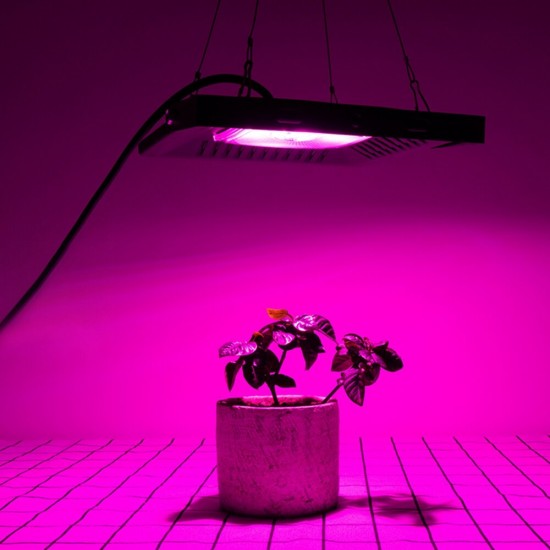 Full Spectrum 30W 50W COB LED Grow Light Waterproof Phyto Lamp for Indoor Plant Vegetable Flower AC220V