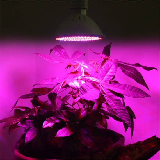 LED Grow Light Bulb 20W Plant Light with 200 LEDs E27 Base Grow Light Bulbs for Indoor Plants Vegetables Greenhouse and Hydroponic