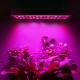 LED Grow Light Hydroponic Full Spectrum Indoor Plant Flower Growing Bloom Lamp 85-265V