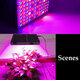 LED Grow Light Hydroponic Full Spectrum Indoor Plant Flower Growing Bloom Lamp 85-265V