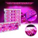 LED Grow Light Hydroponic Full Spectrum Indoor Plant Flower Growing Bloom Lamp 85-265V