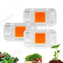 20W 30W 50W Full Spectrum COB LED Grow Light Chip DIY For Indoor Plant Hydroponice AC220V 20W 30W 50W Full Spectrum COB LED Grow Light Chip DIY For Indoor Plant Hydroponice AC220V