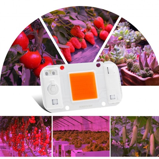 20W 30W 50W Full Spectrum COB LED Grow Light Chip DIY For Indoor Plant Hydroponice AC220V