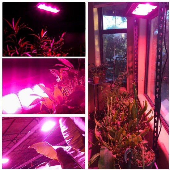 COB LED Grow Lights 450W Outdoor Grow Light, Full Spectrum Plants Light, Waterproof, Natural Heat Dissipation No Noise LED Grow Panel Light for Indoor Plants, Greenhouse, Garden