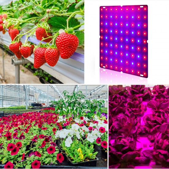 Ultra Thin 81/169LEDs Plant UV Grow Light Full Spectrum Veg Lamp For Indoor Hydroponic Plant Flower 110-240V