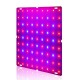 Ultra Thin 81/169LEDs Plant UV Grow Light Full Spectrum Veg Lamp For Indoor Hydroponic Plant Flower 110-240V