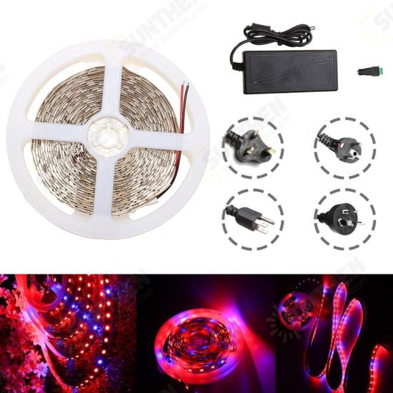 Waterproof 5M Red:Blue 5:1 SMD5050 Full Spectrum LED Strip Grow Plant Light + Power Supply DC12V