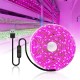 0.5/1/2/3/4/5M USB LED Grow Strip Light Waterproof 2835SMD Hydroponic Full Spectrum Indoor Plant Flower Lamp