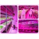 0.5/1/2/3/4/5M USB LED Grow Strip Light Waterproof 2835SMD Hydroponic Full Spectrum Indoor Plant Flower Lamp