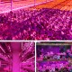 0.5/1/2/3/4/5M USB LED Grow Strip Light Waterproof 2835SMD Hydroponic Full Spectrum Indoor Plant Flower Lamp