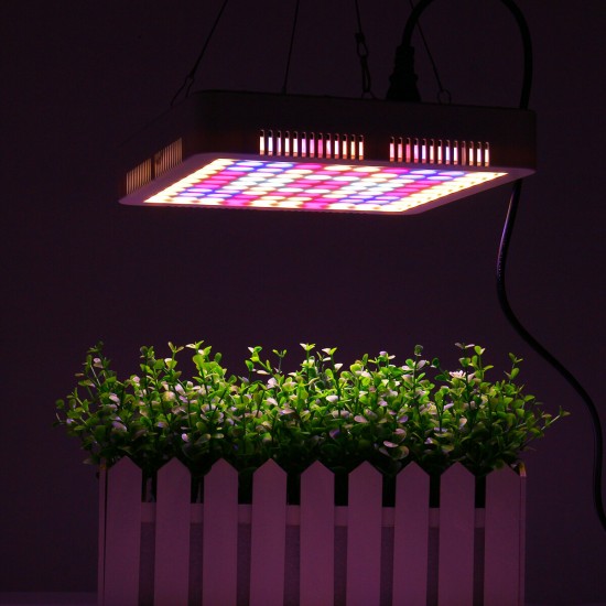 100 LED Grow Light Full Spectrum Panel For Indoor Hydro Veg Flower Plant Lamp